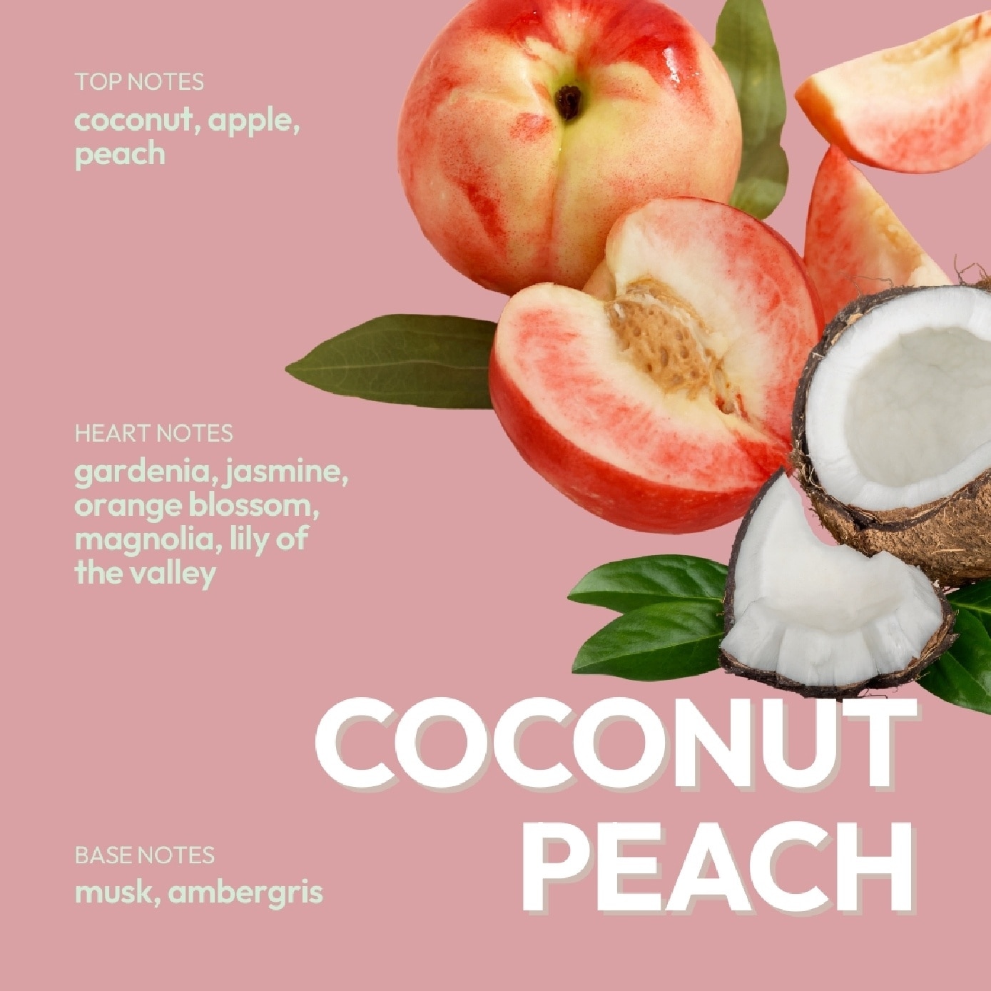 Hot Curl Summer Anti-Frizz Conditioner Coconut Peach 500ml