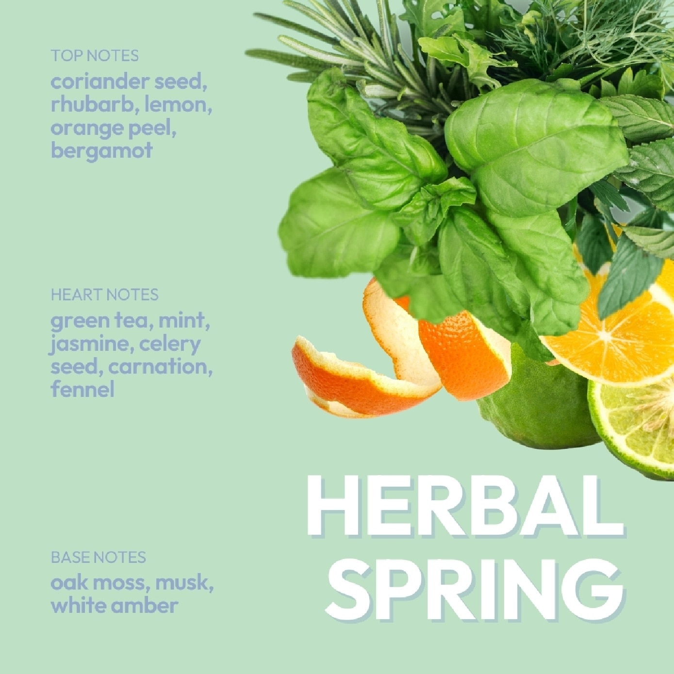 Scalp Hero Reabalancing Shampoo Herbal Spring 500ml