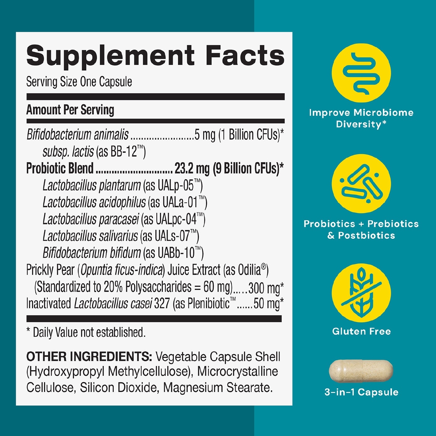 Gut Health Daily Synbiotic 10B CFU Vegetarian Capsule 30s (Expiry: May`2027)