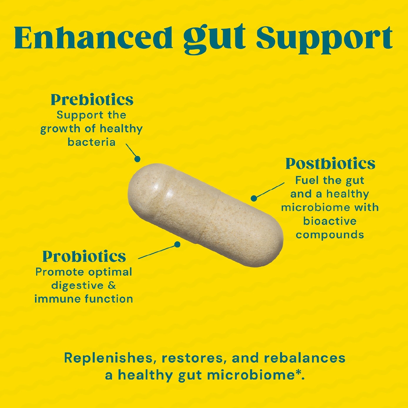 Gut Health Daily Synbiotic 10B CFU Vegetarian Capsule 30s (Expiry: May`2027)