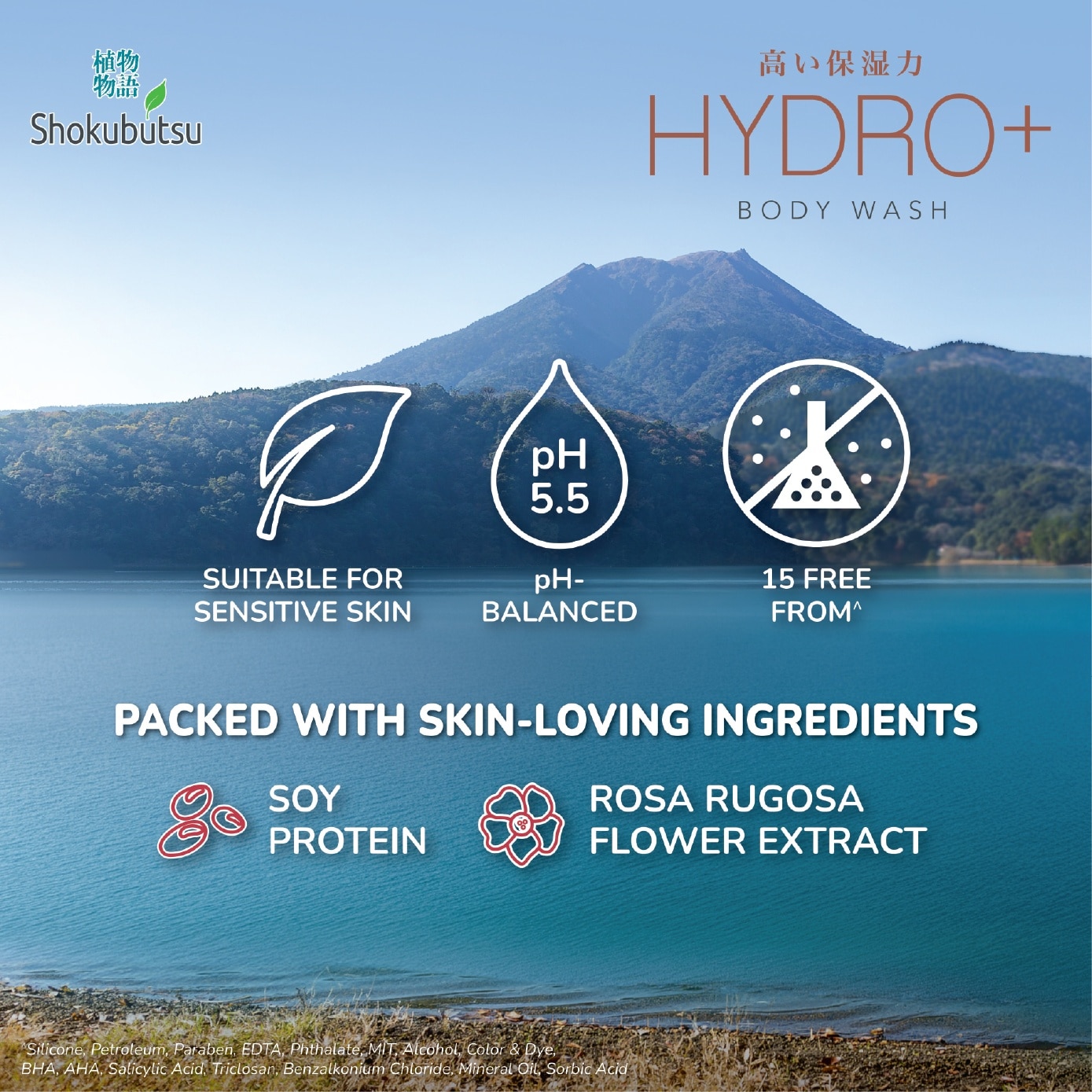 Hydro+ Moisture Boost Body Wash 900ml