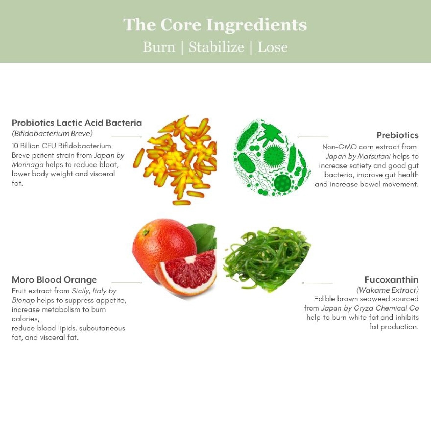 Block It + Lactolean Ultimate Slimming & Detox Bundle Set 15s + 15s