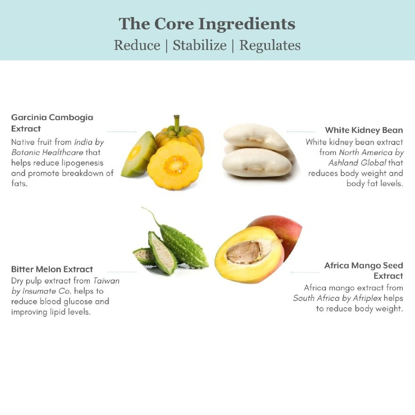 Block It + Lactolean Ultimate Slimming & Detox Bundle Set 15s + 15s