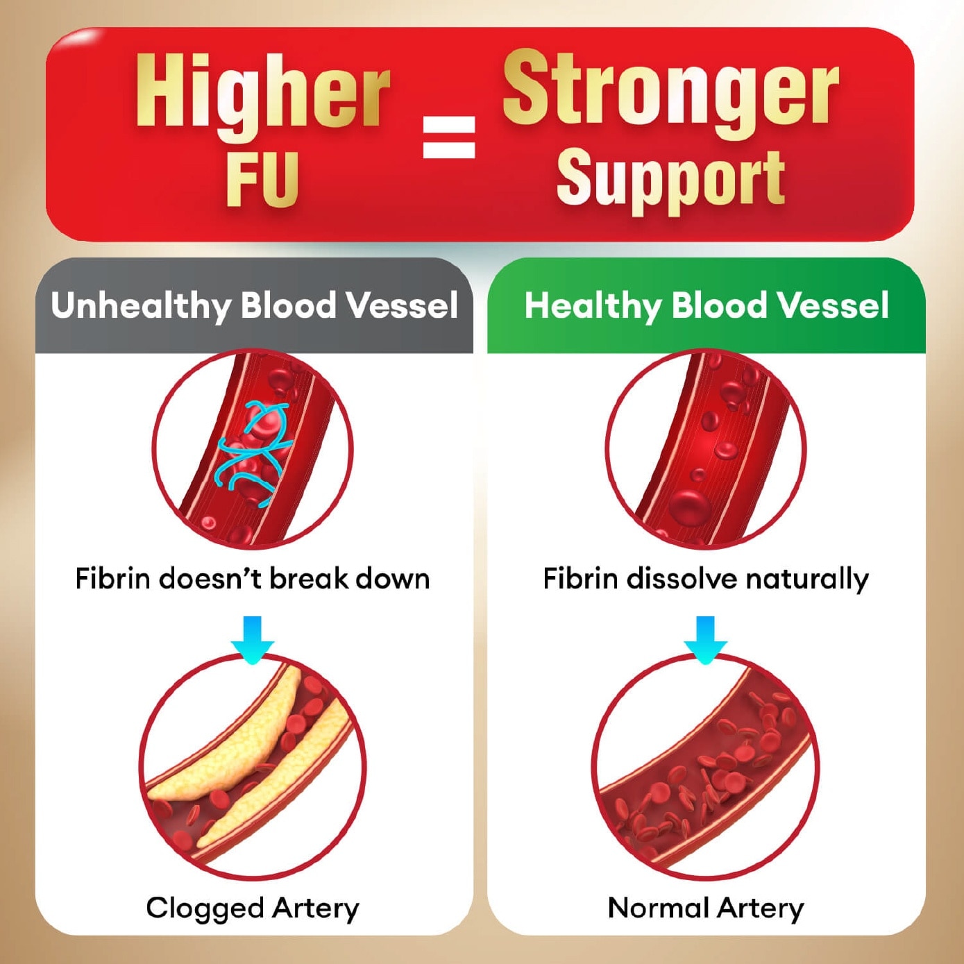 VesseClear EX Dietary Supplement Veggie Capsule (Nattokinase 4000FU + Elastin F for Clean & Flexible Blood Vessel, Healthy Circulation, Heart, Brain & Immune Health) 30s