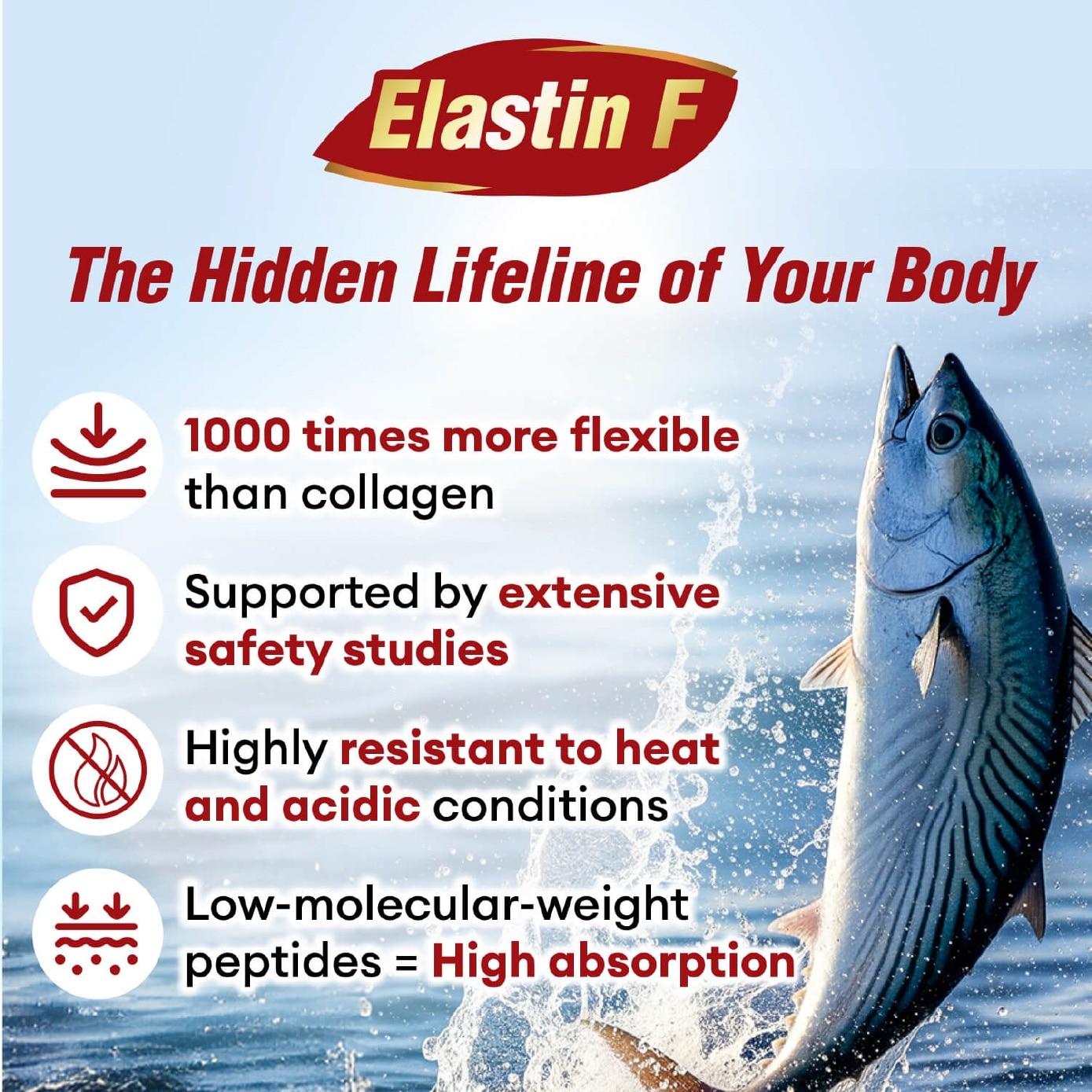 VesseClear EX Dietary Supplement Veggie Capsule (Nattokinase 4000FU + Elastin F for Clean & Flexible Blood Vessel, Healthy Circulation, Heart, Brain & Immune Health) 30s