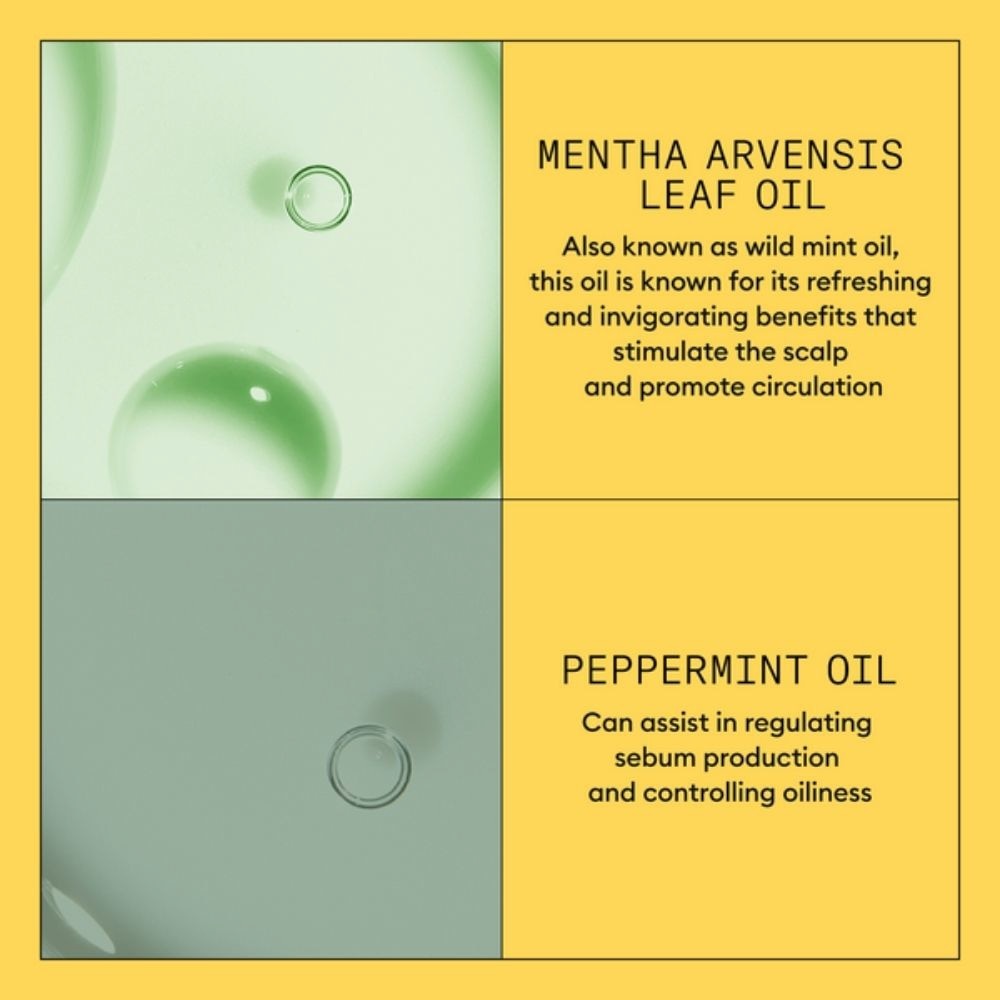 System 1 Scalp + Hair Conditioner 1L