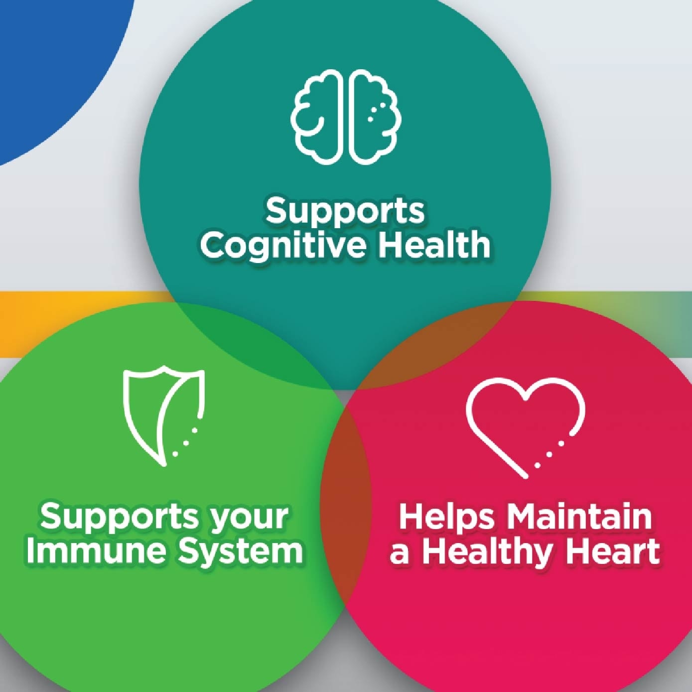 Multivitamin For Men 50+ Twin Packset Tablet 100s x 2 Bottle