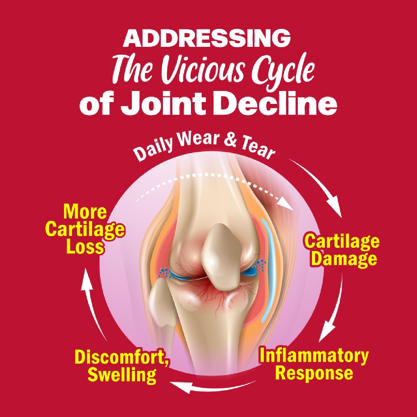 FlexC PRO EX Dietary Supplement Sachet (Joint, Bone & Body Support) 30s