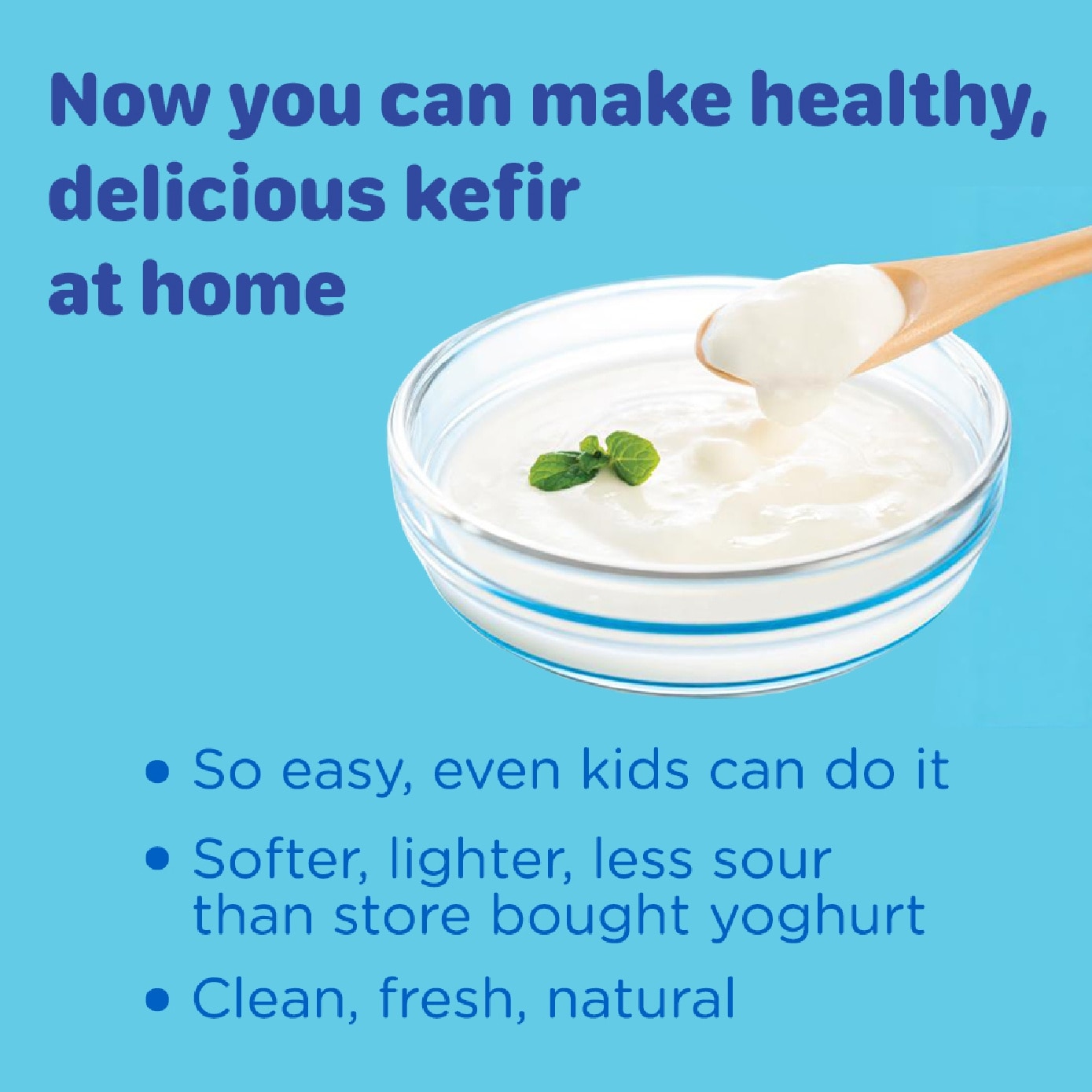 Freeze-dried Kefir Starter with Added Calcium 3.8g x 12s