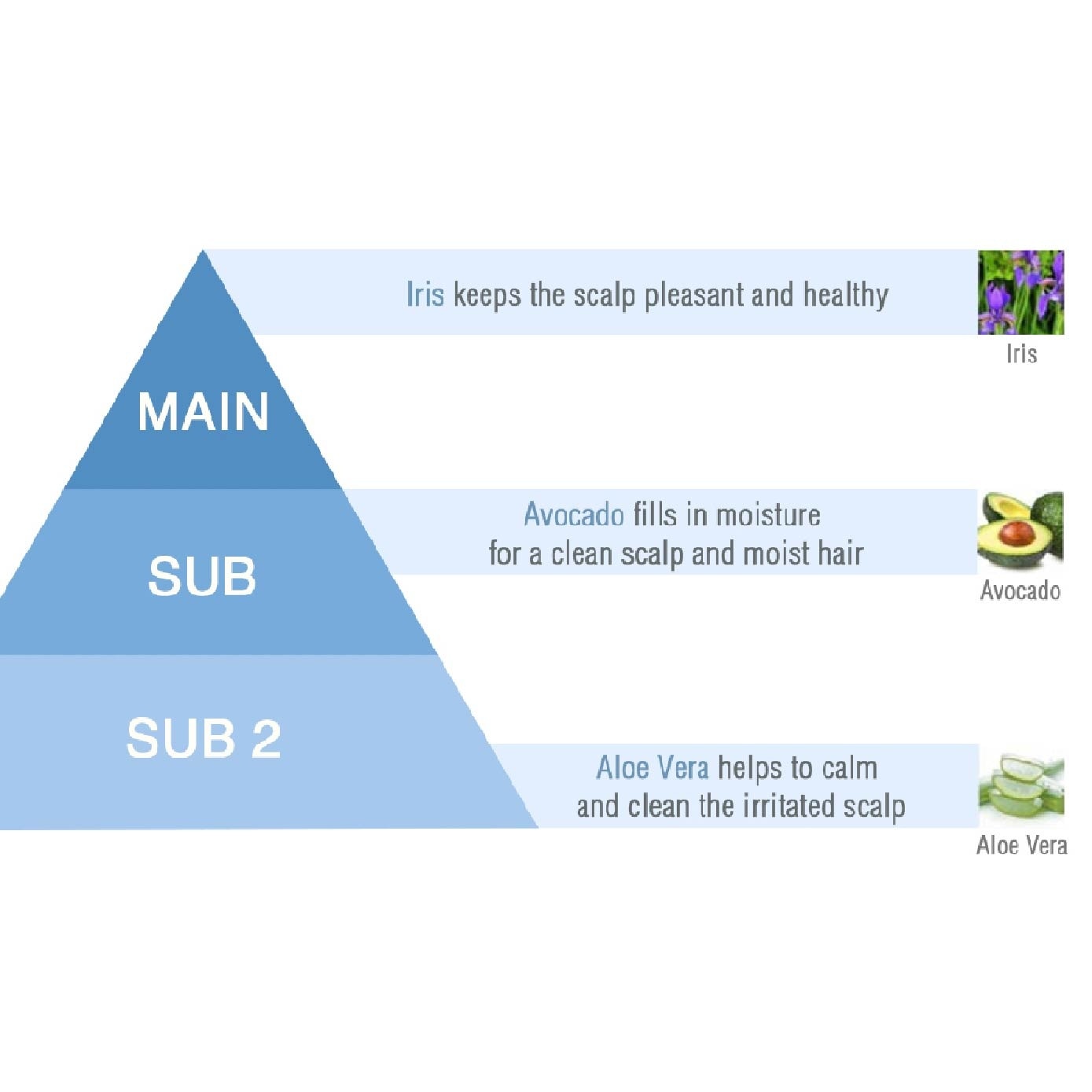 True Hair & Scalp Shampoo 500ml