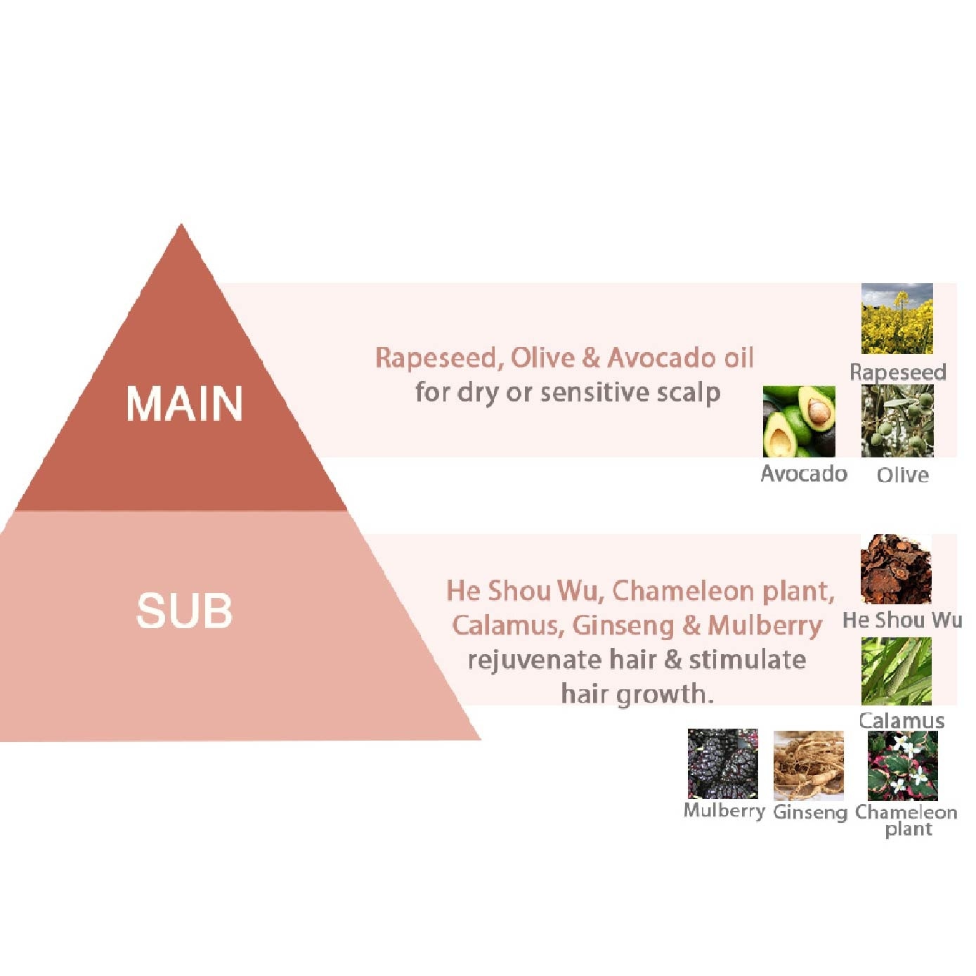 Natural Mild Scalp Care Treatment 500g (Expiry: Oct`2026)