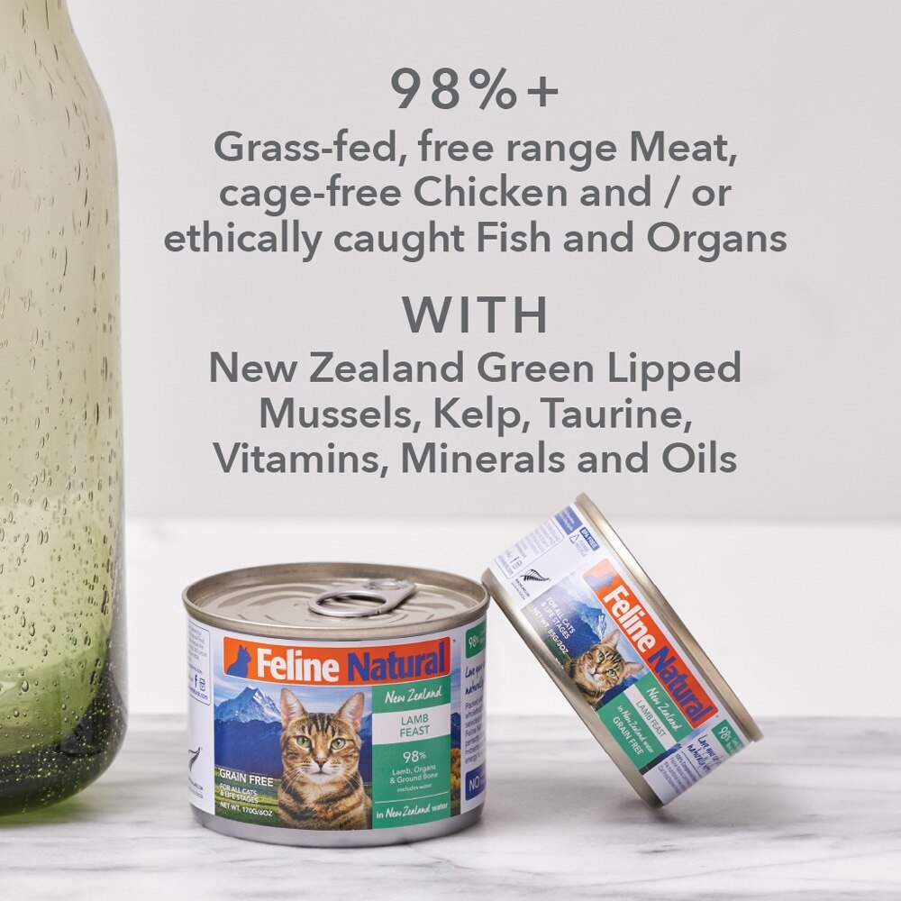 Beef Canned Cat Food 170g