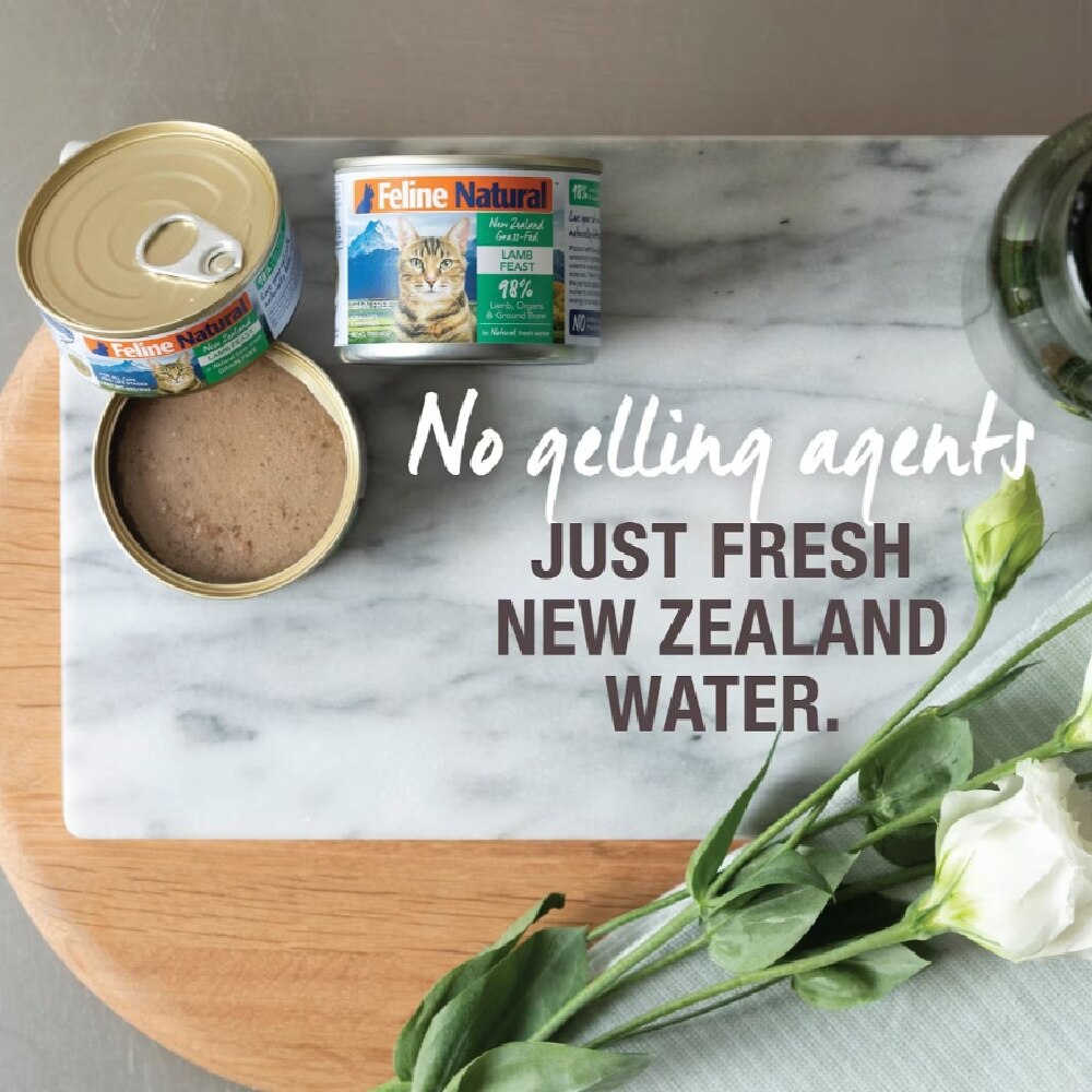 Beef Canned Cat Food 170g