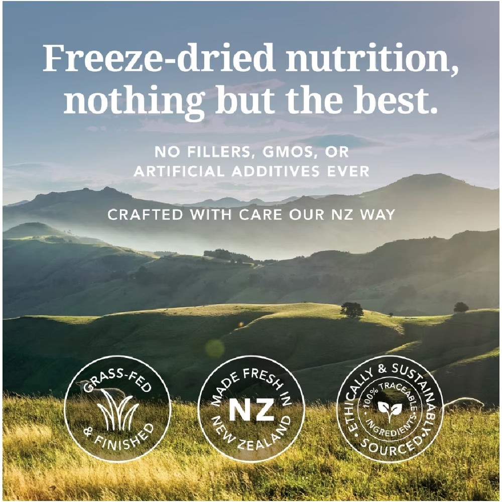 Beef Feast Freeze Dried Dog Food 100g image