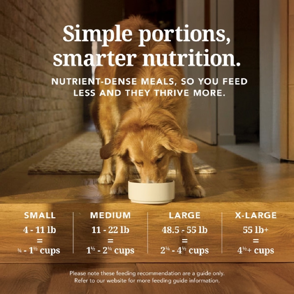 Chicken Feast Freeze-Dried Dog Food 1.8kg