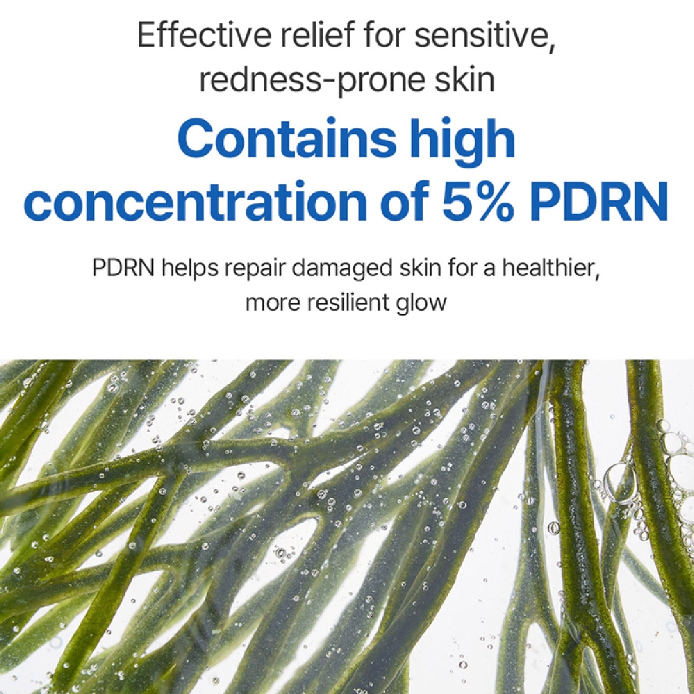 Glacial Marine Algae-PDRN Serum 30ml