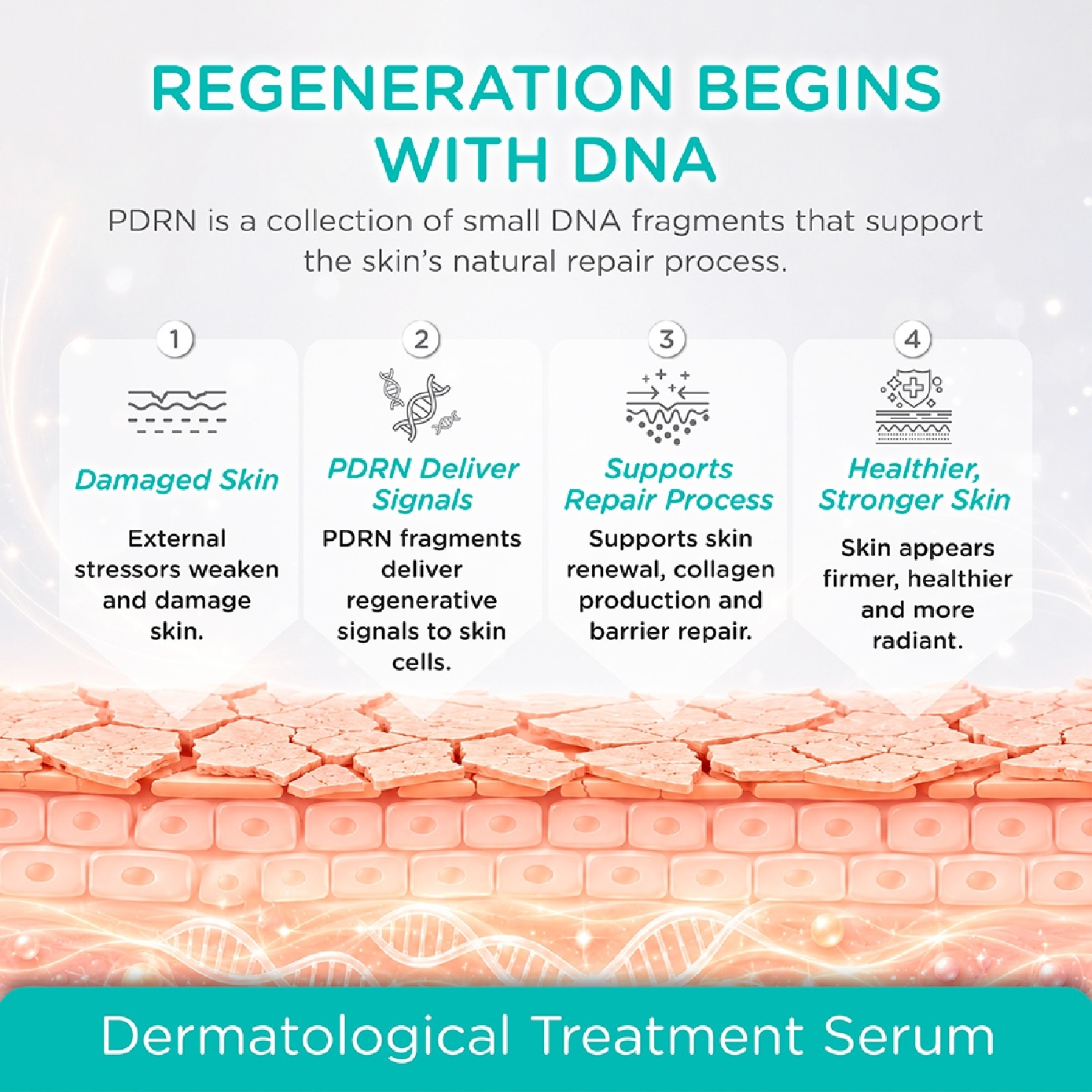 Pro Aesthetic Multi Peptides Lacto-PDRN 55200ppm Regencell Serum Shot 30ml image