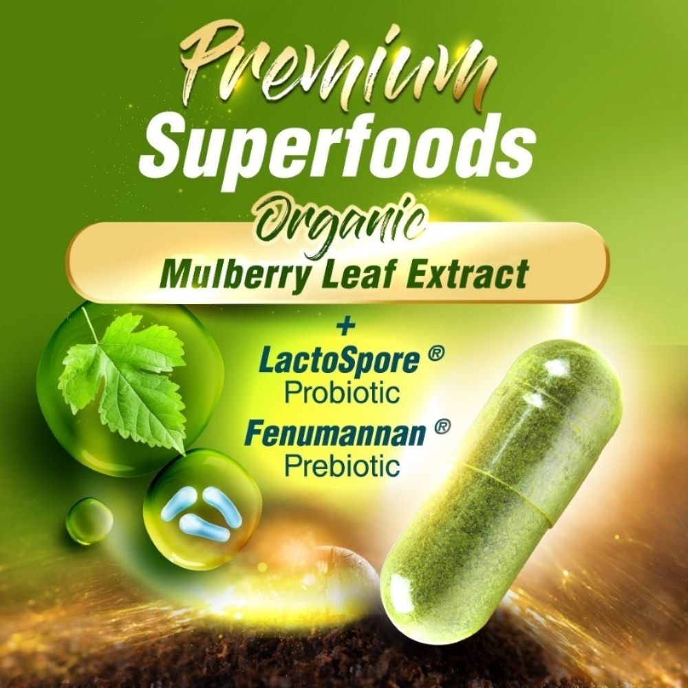 Mulbiotic Mulberry Leaf DNJ with Probiotic Prebiotic Capsule (Blood Sugar, Diabetes, Weight, & Appetite) 90s