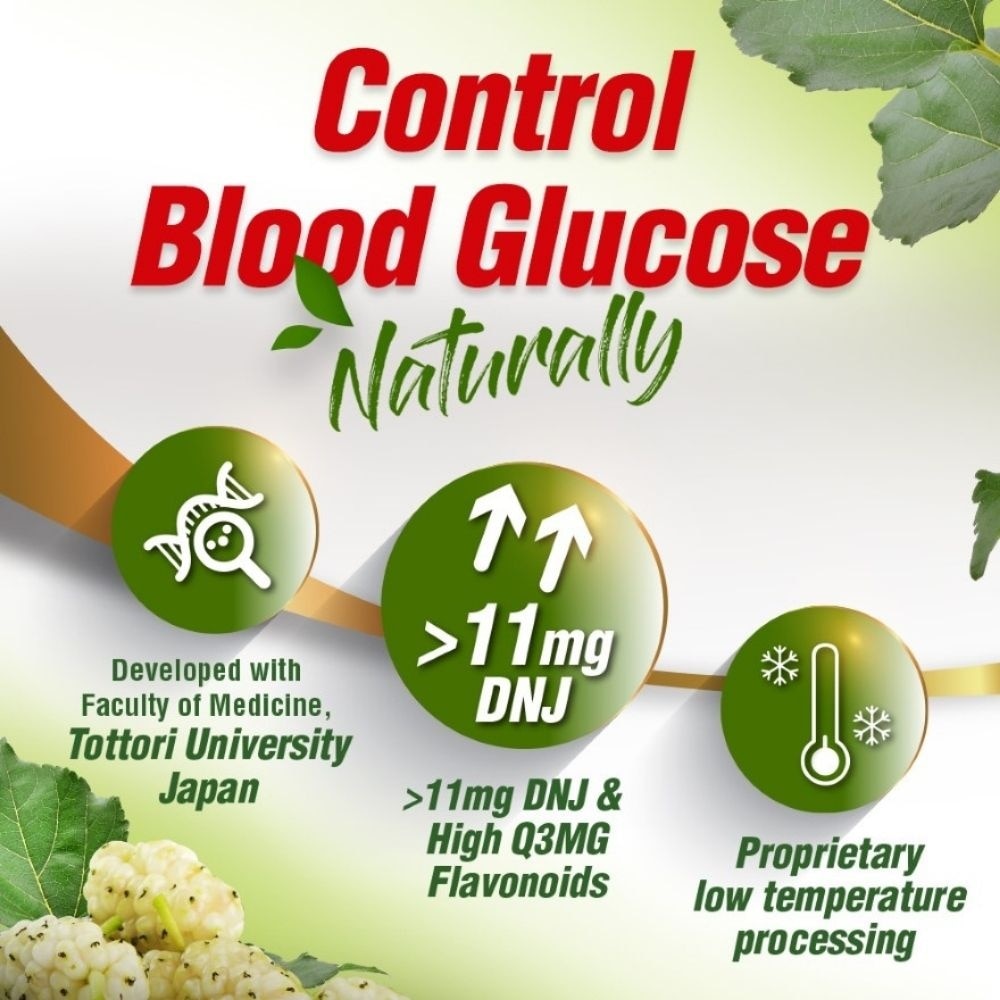 Mulbiotic Mulberry Leaf DNJ with Probiotic Prebiotic Capsule (Blood Sugar, Diabetes, Weight, & Appetite) 90s