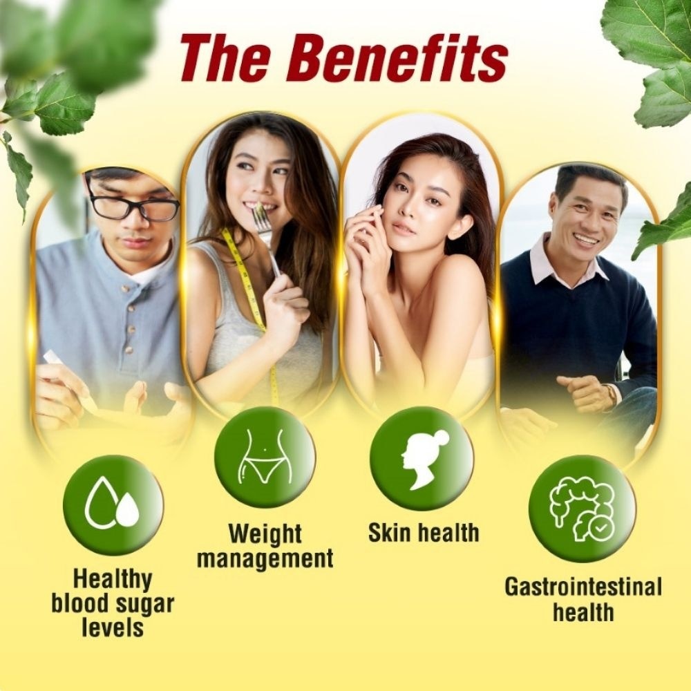 Mulbiotic Mulberry Leaf DNJ with Probiotic Prebiotic Capsule (Blood Sugar, Diabetes, Weight, & Appetite) 90s