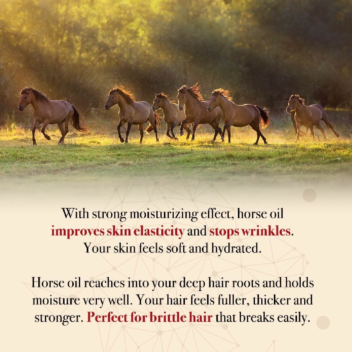 Horse Oil Moisturising Anti-Breakage Natural Shampoo (For Fuller, Stronger Tangle-Free Hair) 600ml