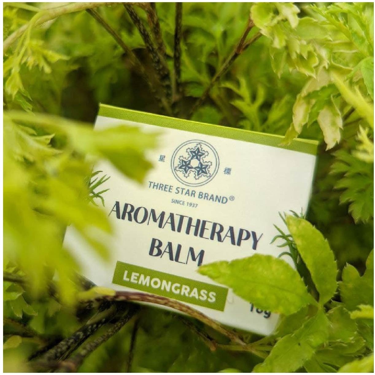 Aromatherapy Balm Lemongrass (Natural Ingredients with Therapeutic Benefits + Traditional Properties) 18g