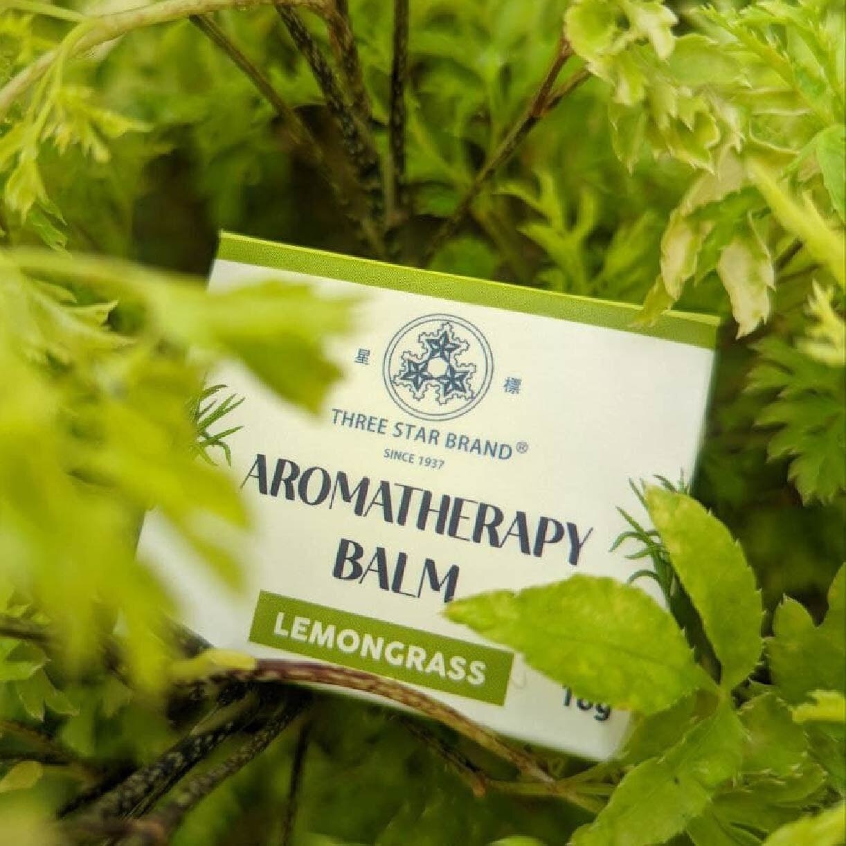 Aromatherapy Balm Lemongrass (Natural Ingredients with Therapeutic Benefits + Traditional Properties) 40g