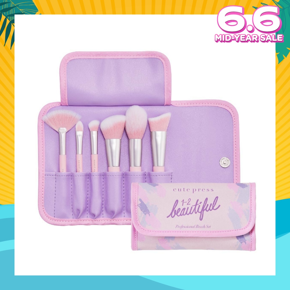 Beautiful Professional Brush 6s Set