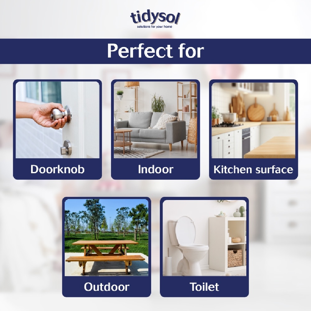 Fresh Atlantic Scent Disinfectant Spray (Kills up to 99.9999% germs + 30 days Antimicrobial Film, Pet friendly, Non-toxic) 300ml