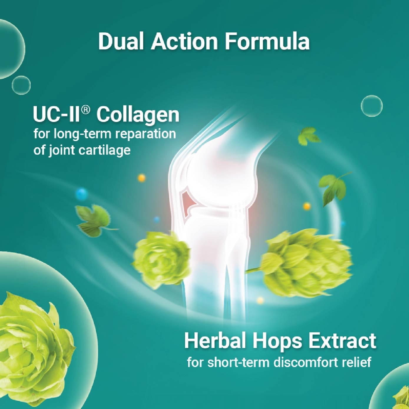 Joint Speed Dual Action with Herbal Hops Extract & UC-II® Collagen 42s