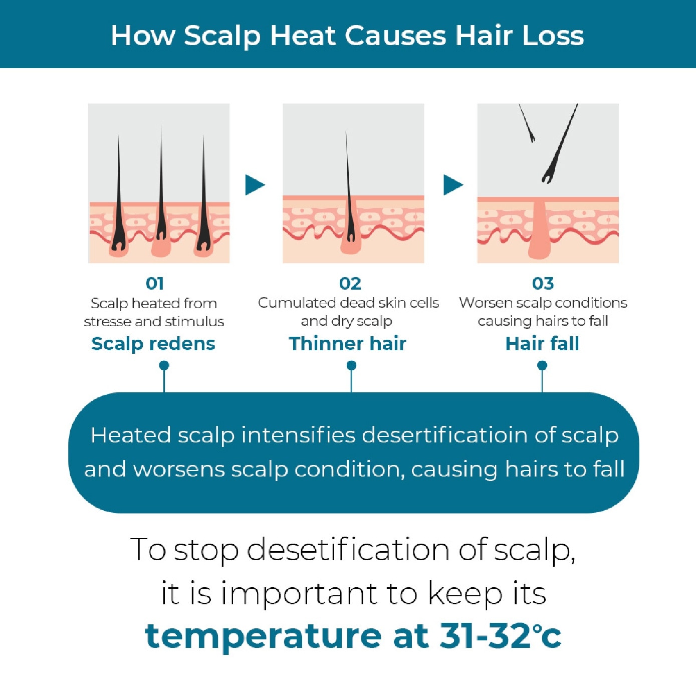 Cool Shampoo for Anti-Hair Loss 1000ml