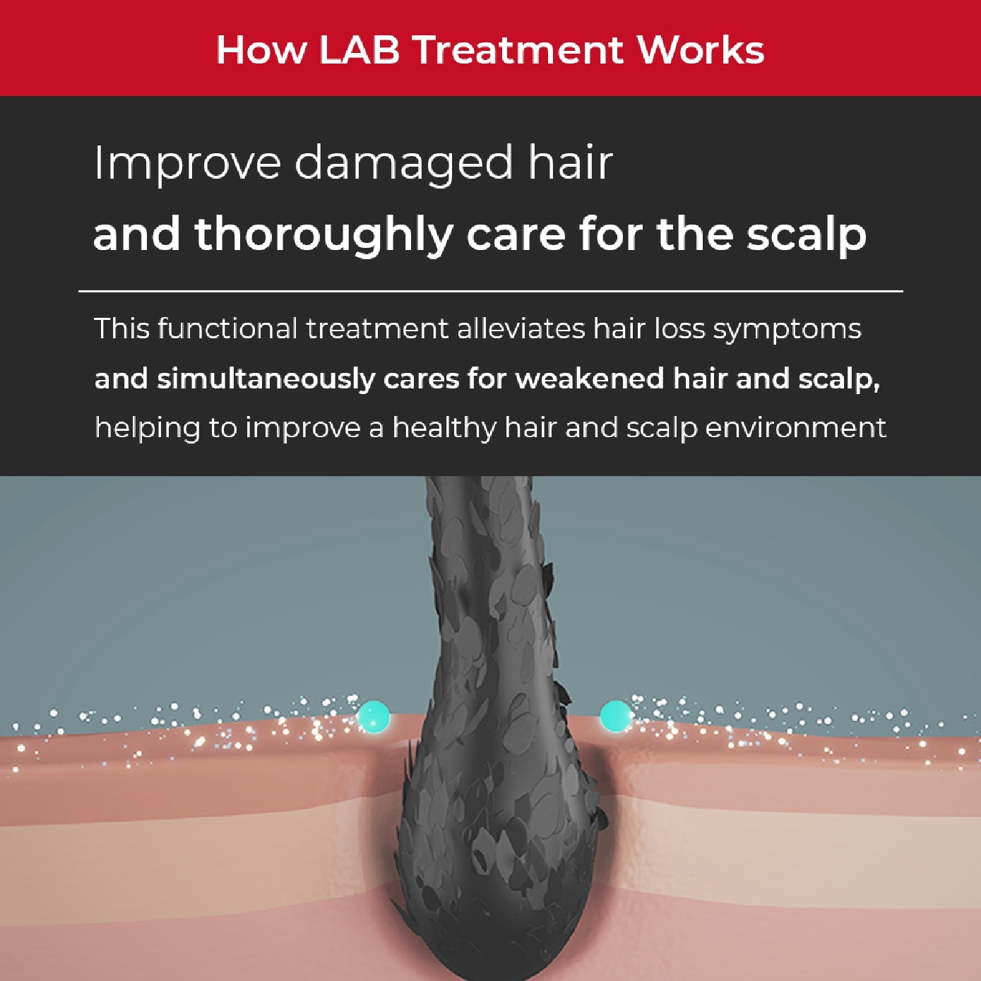 Lab Treatment for Anti-Hair Loss 1000ml
