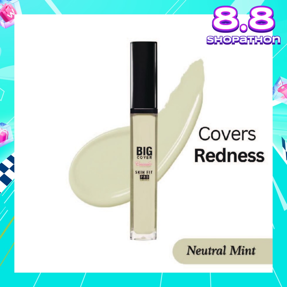 Big Cover Skin Fit Concealer Pro-Neutral Mint 7g