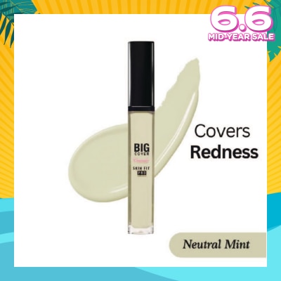 ETUDE Big Cover Skin Fit Concealer Pro-Neutral Mint 7g