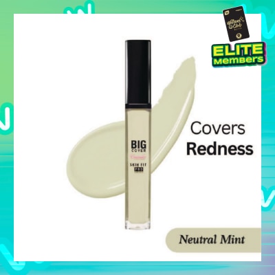 ETUDE Big Cover Skin Fit Concealer Pro-Neutral Mint 7g
