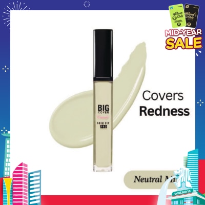 ETUDE Big Cover Skin Fit Concealer Pro-Neutral Mint 7g