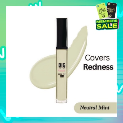 ETUDE Big Cover Skin Fit Concealer Pro-Neutral Mint 7g