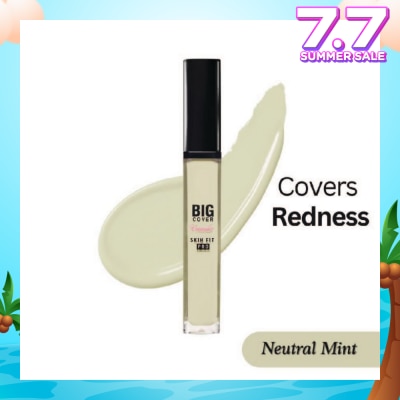ETUDE Big Cover Skin Fit Concealer Pro-Neutral Mint 7g