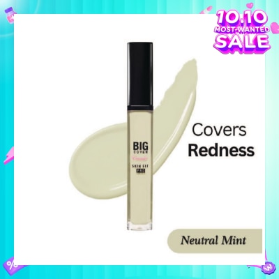 ETUDE Big Cover Skin Fit Concealer Pro-Neutral Mint 7g