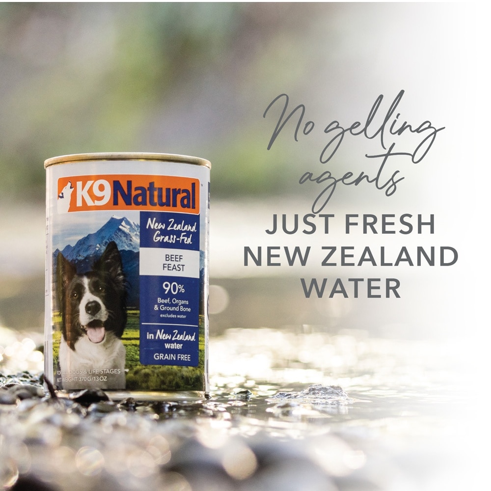 Beef & Hoki Feast Canned Dog Food 170g x 12s (Per Carton)