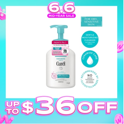 CUREL - I.Foam B.Wash 480Ml