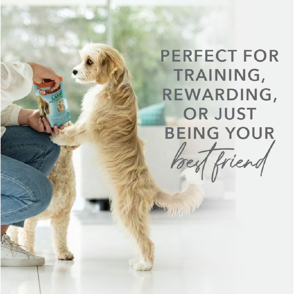 Chicken Healthy Bites Dog Treats 50g