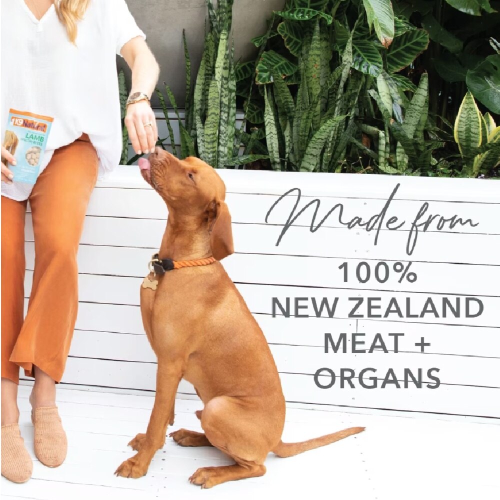 Green Mussels Healthy Dog Snacks 50g image