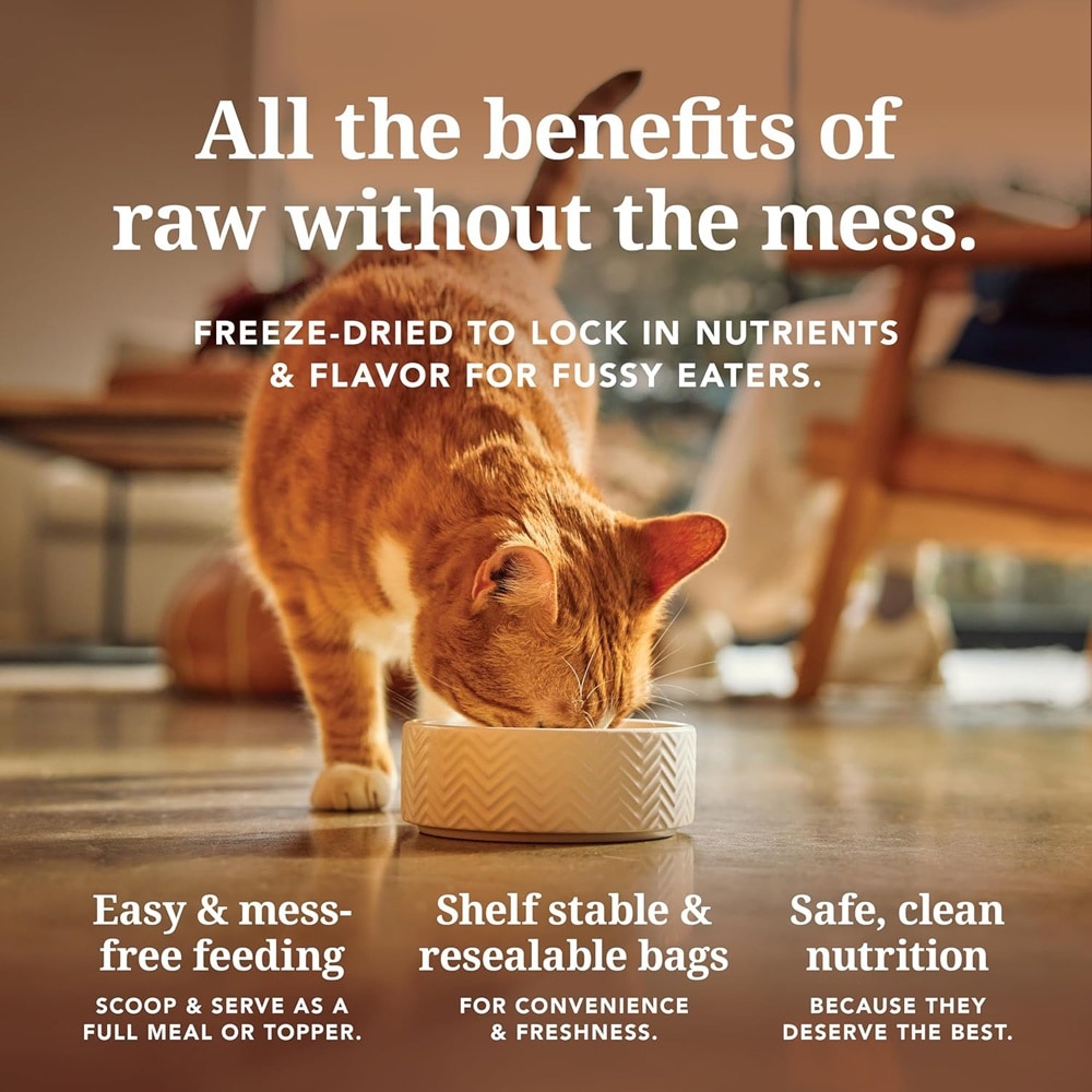 Lamb & Salmon Feast Freeze-Dried Cat Food 100g