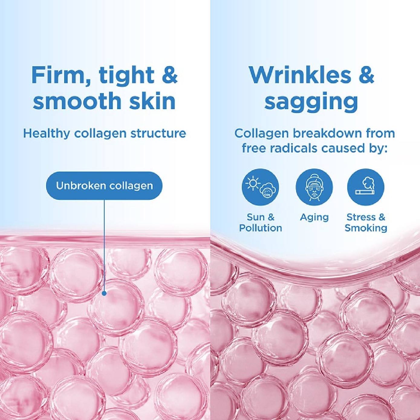 Marine Collagen Powder Sachet 6g x 10s