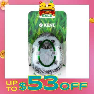 KENT BRUSHES Phog The Pebble (Travel Hair Brush For Wet Or Dry Hair Hedgehog) 1s