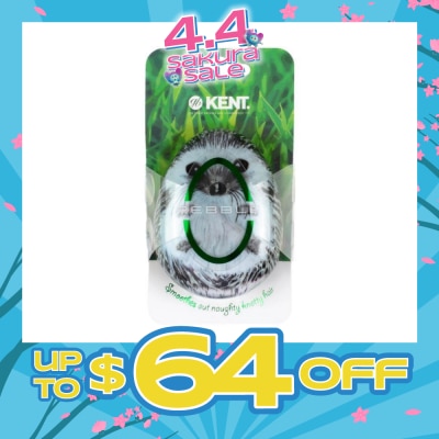 KENT BRUSHES - Phog The Pebble (Travel Hair Brush For Wet Or Dry Hair Hedgehog) 1s