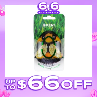 KENT BRUSHES - Pbee The Pebble (Travel Hair Brush For Wet Or Dry Hair Bumble Bee) 1s