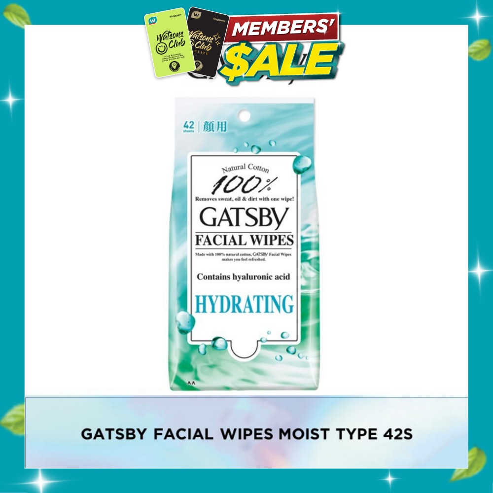 Facial Paper Moist 42s image