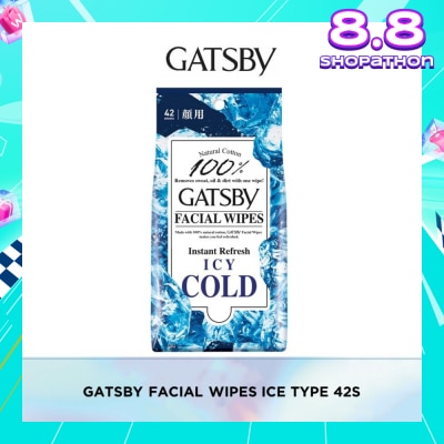 GATSBY Facial Wipes Ice-Type 42s